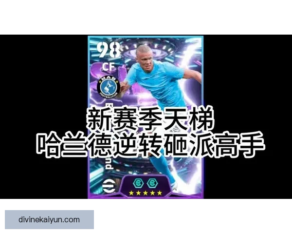 哈兰德游戏爱好者